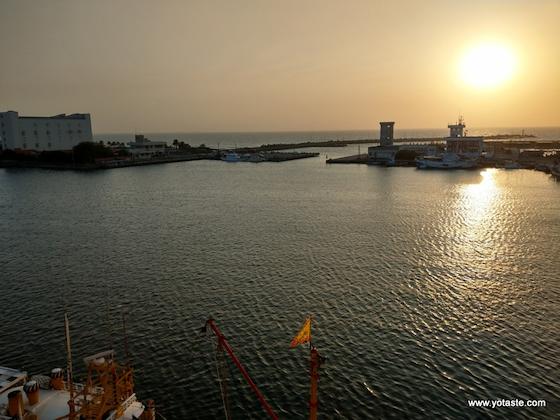 眼鏡伯台灣海域捕撈野生烏魚，確保烏魚子禮盒品質